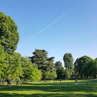 Park Pavilion Reservation